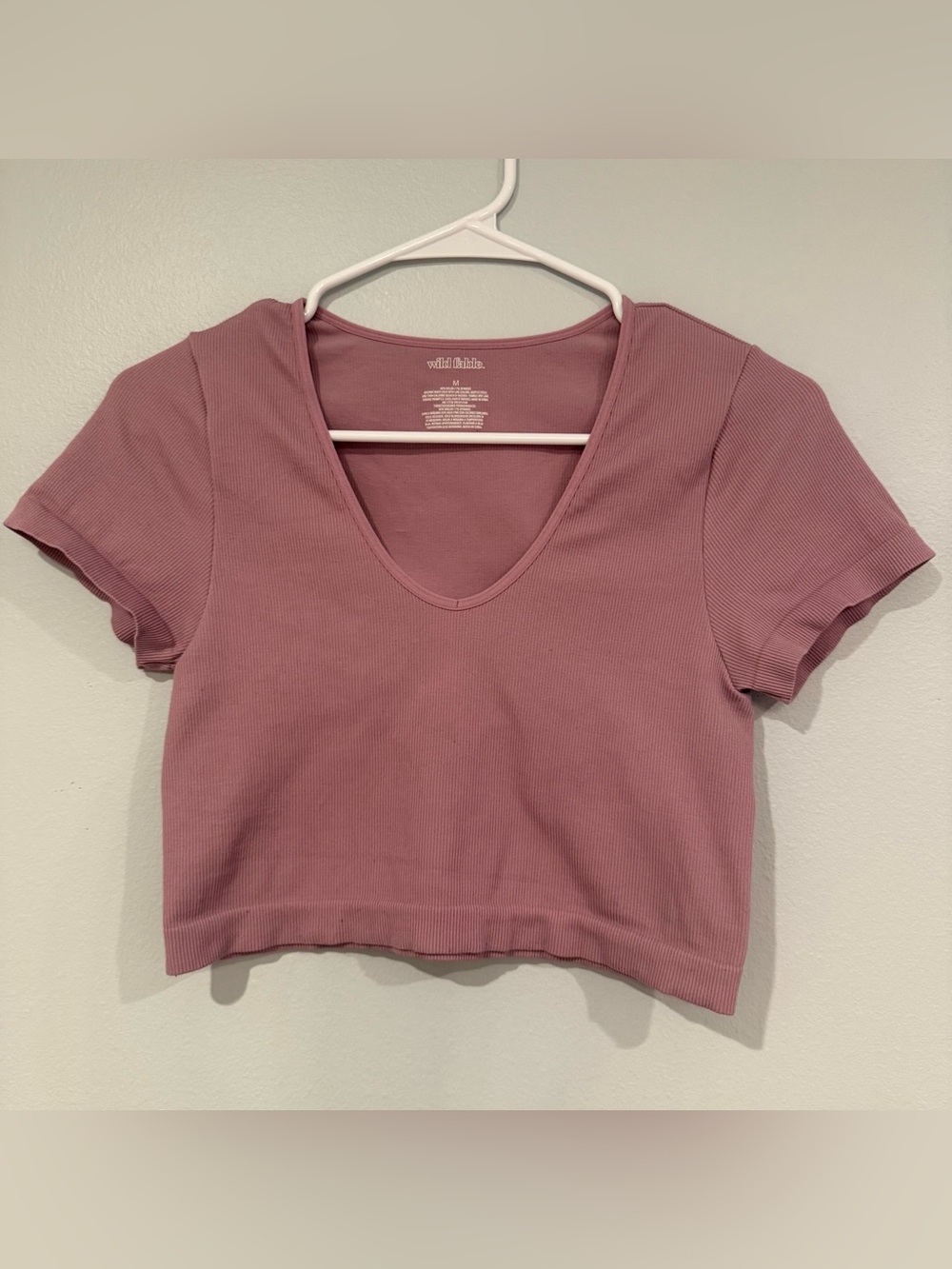 wild fable Dusty Mauve Ribbed V-Neck Crop Top